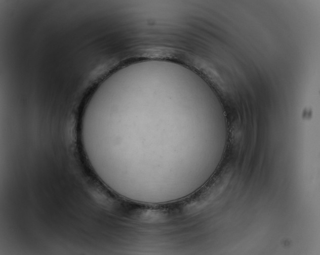 X0000102870303200809021454