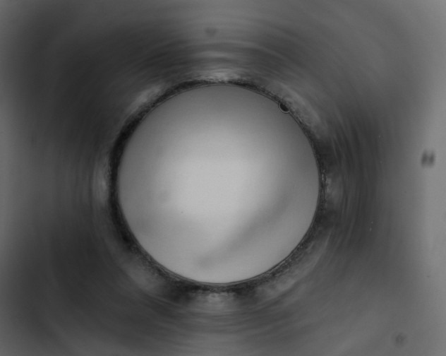 X0000102870304200809021454