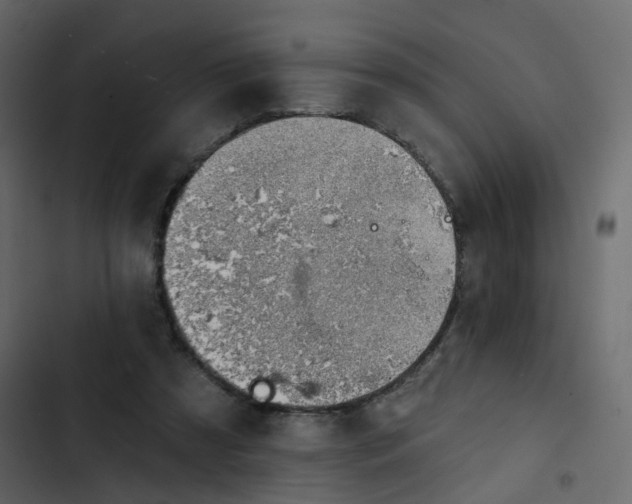 X0000102870305200809021454