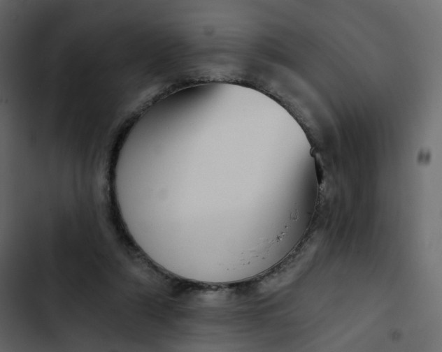 X0000102870306200809021454