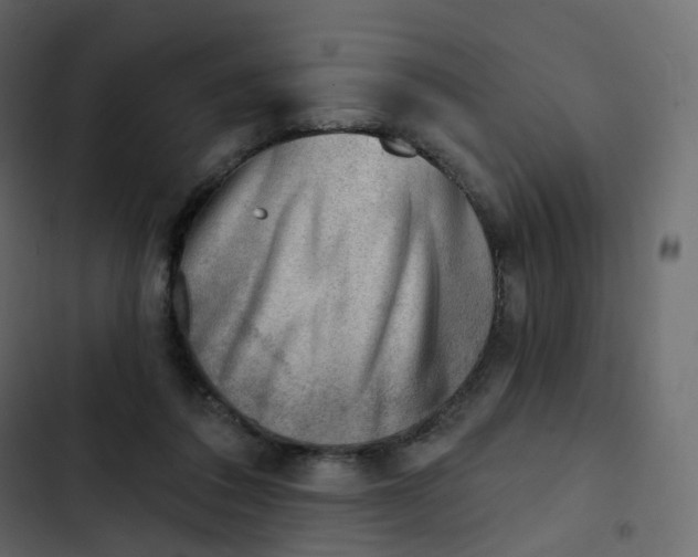 X0000102870308200809021454