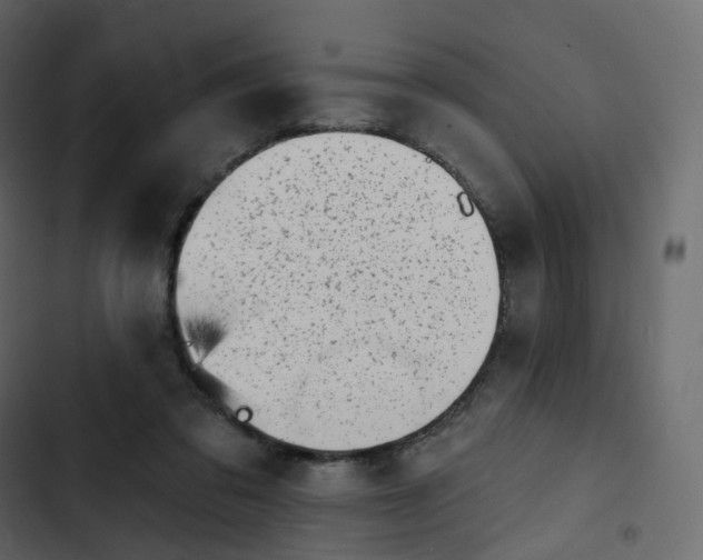 X0000102870309200809021454