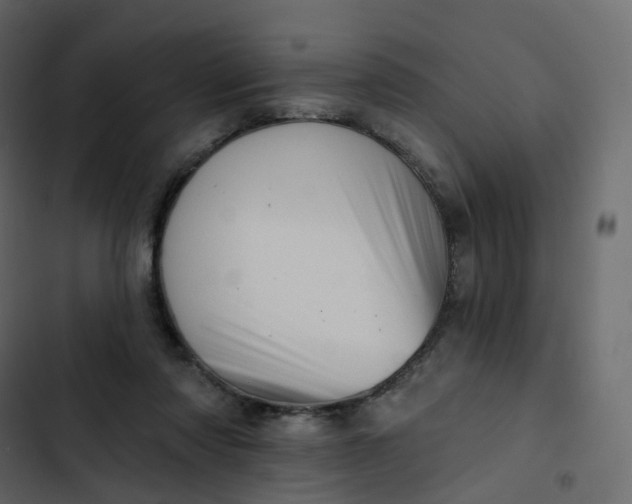 X0000102870310200809021454