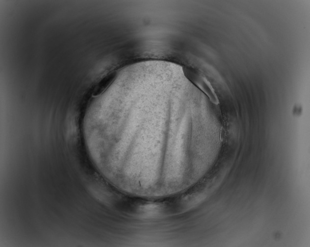 X0000102870312200809021454