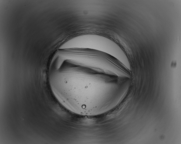 X0000102870313200809021454