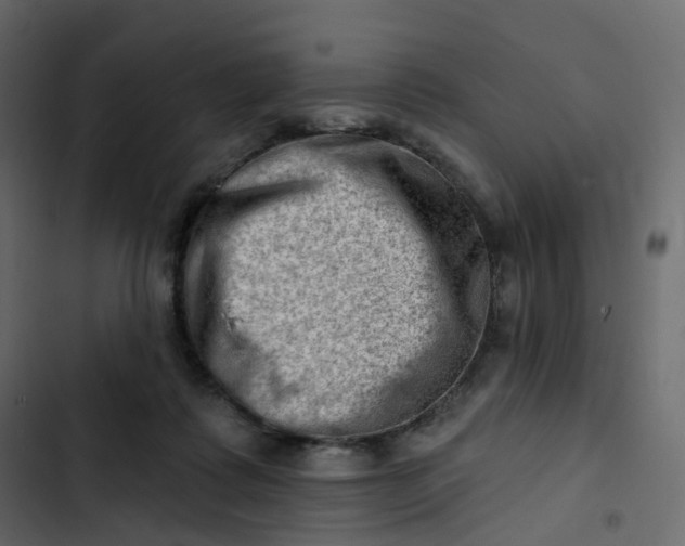 X0000102870315200809021454