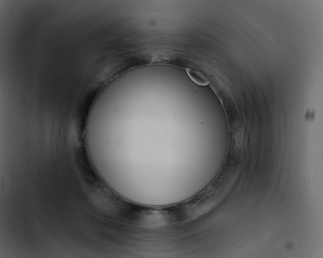 X0000102870316200809021454