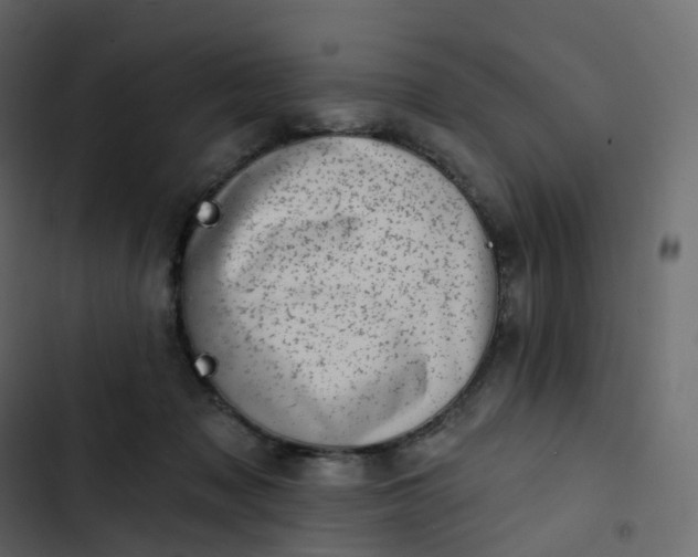 X0000102870317200809021454