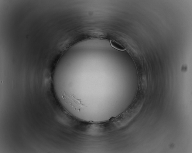 X0000102870320200809021454