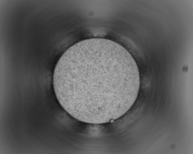 X0000102870321200809021454