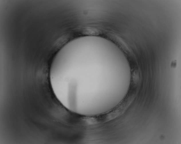 X0000102870322200809021454