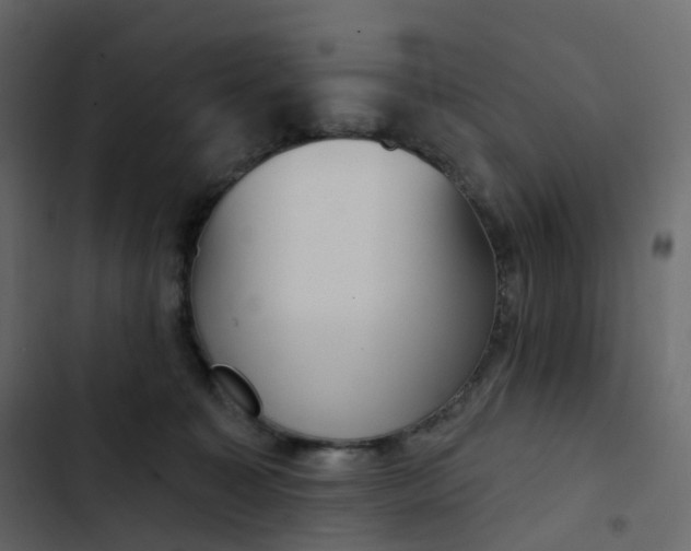 X0000102870323200809021454