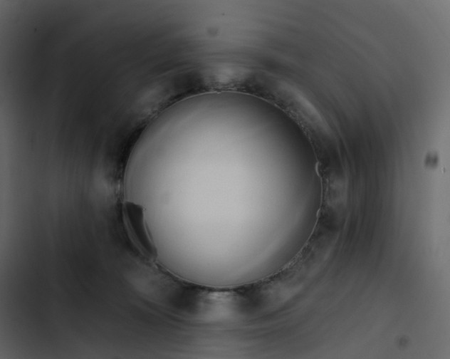 X0000102870324200809021454