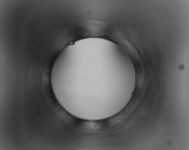 X0000102870326200809021453