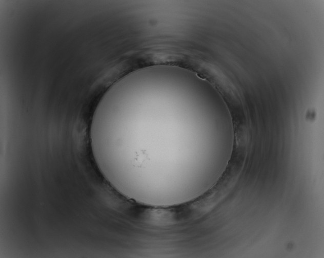 X0000102870327200809021453