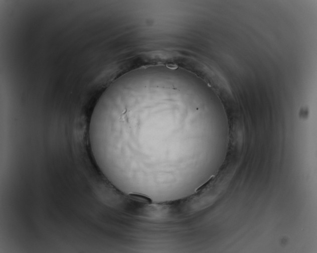 X0000102870328200809021453