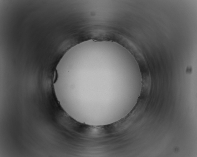 X0000102870333200809021453