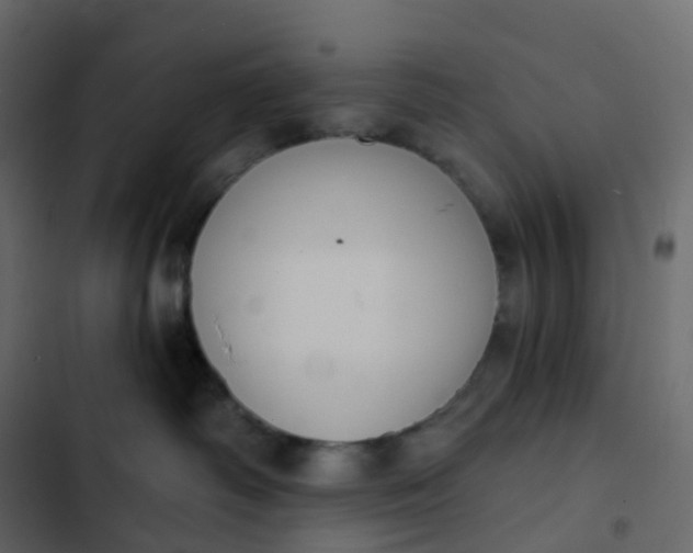 X0000102870334200809021453