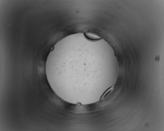 X0000102870335200809021453