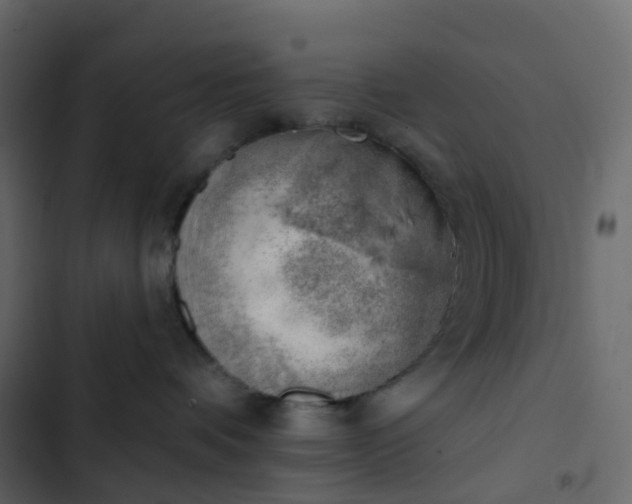 X0000102870336200809021453