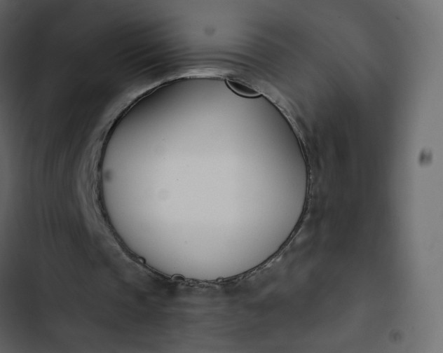 X0000102870337200809021453