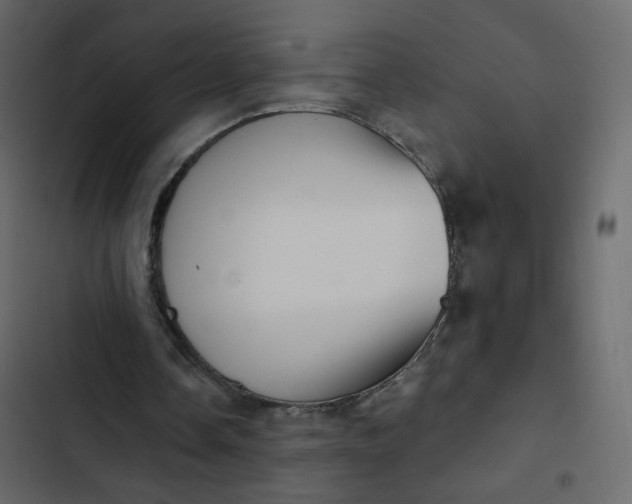 X0000102870338200809021453