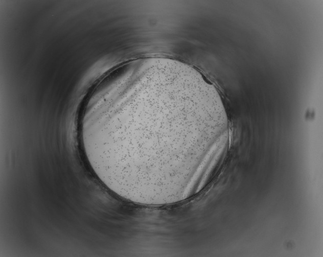 X0000102870339200809021453