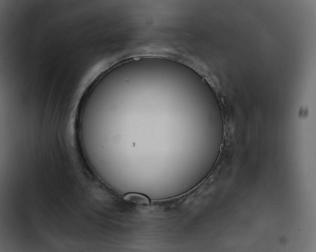 X0000102870340200809021453