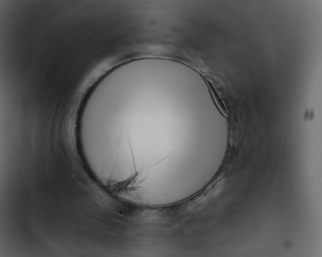 X0000102870341200809021453