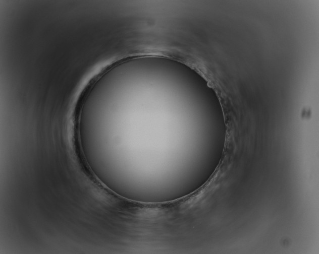 X0000102870342200809021453