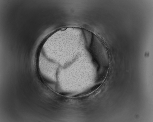 X0000102870343200809021453