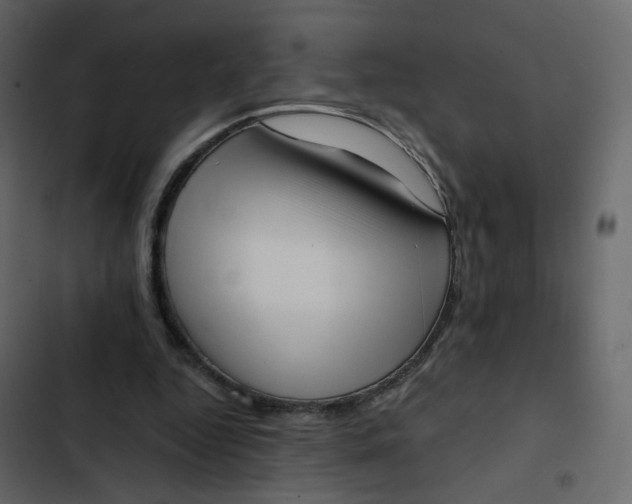 X0000102870344200809021453