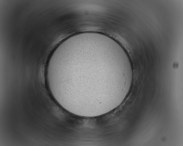 X0000102870345200809021453