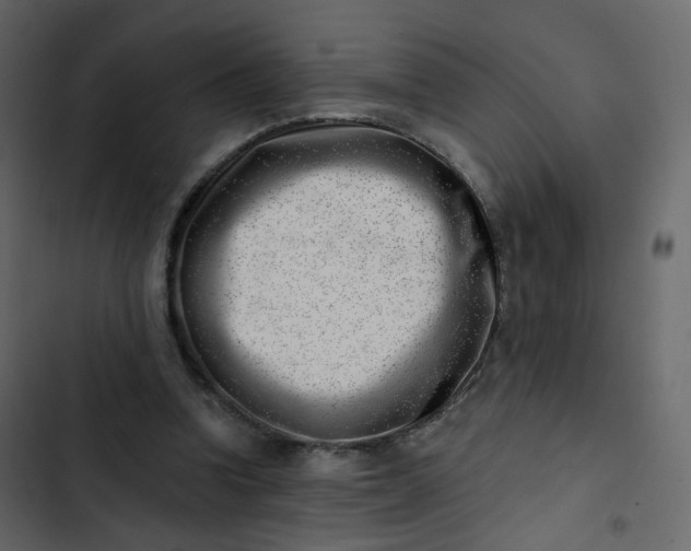 X0000102870346200809021453