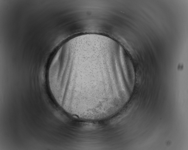 X0000102870347200809021453