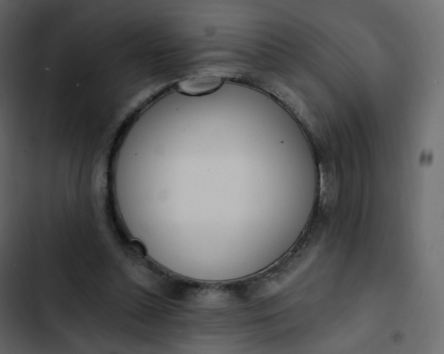 X0000102870348200809021453