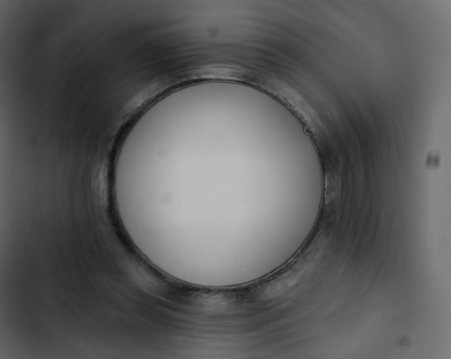 X0000102870349200809021453