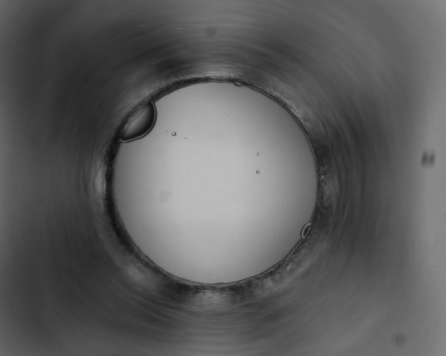 X0000102870350200809021453