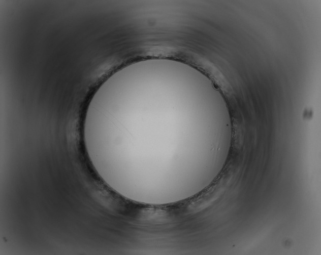 X0000102870354200809021453