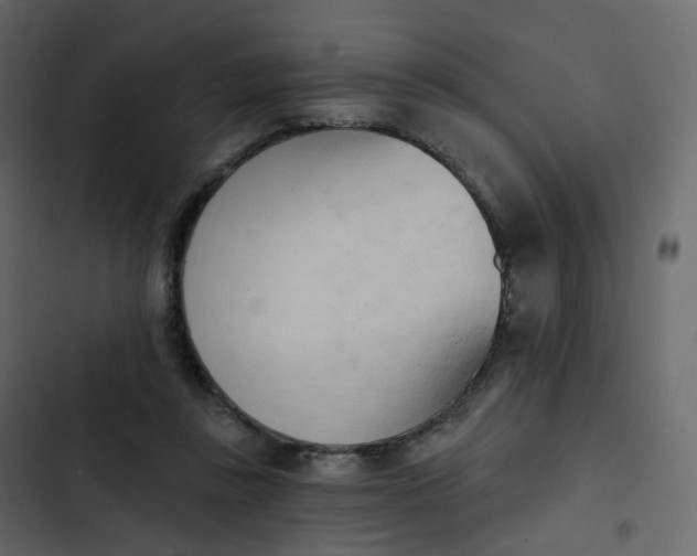 X0000102870355200809021453