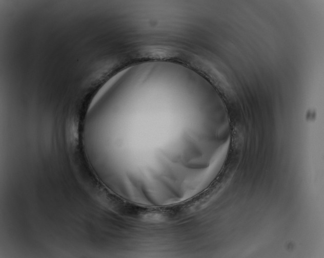 X0000102870358200809021453