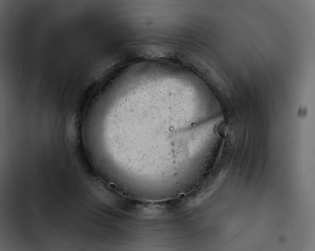 X0000102870359200809021453