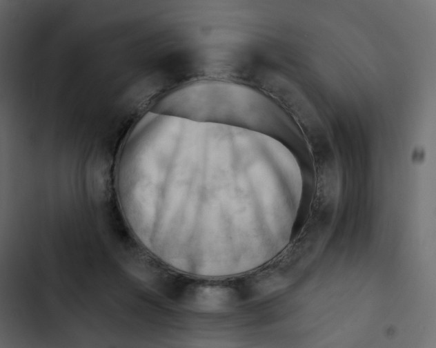 X0000102870360200809021453