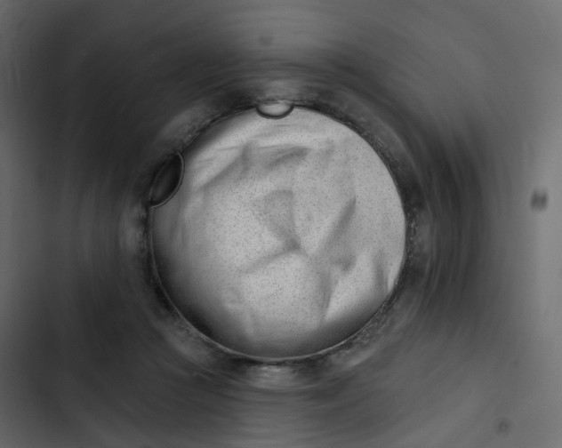 X0000102870361200809021453