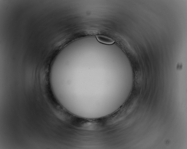 X0000102870364200809021453