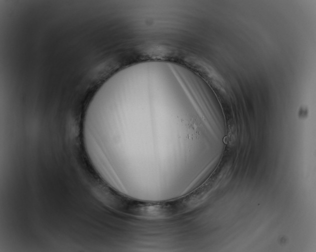 X0000102870365200809021453