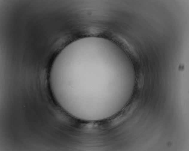 X0000102870366200809021453