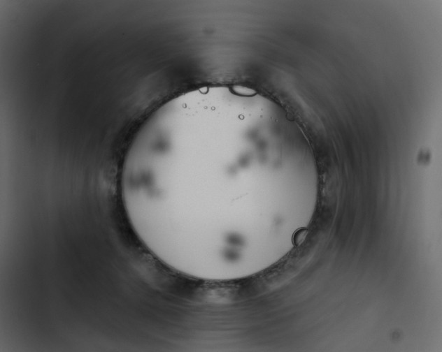 X0000102870368200809021453