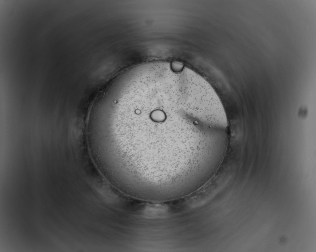 X0000102870369200809021453