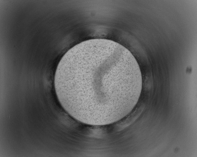 X0000102870370200809021453